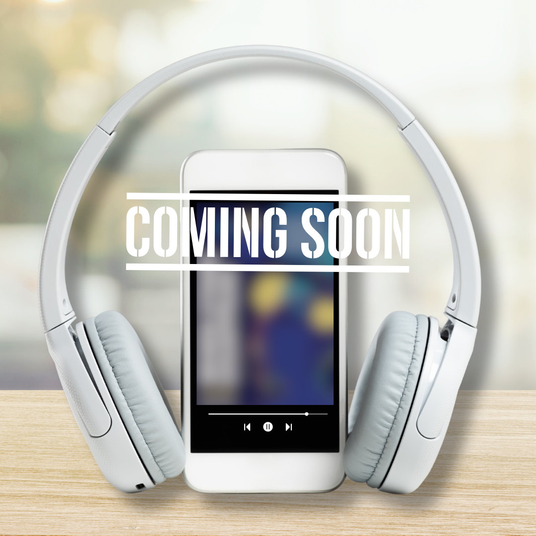 WSD audiobook blurred.png