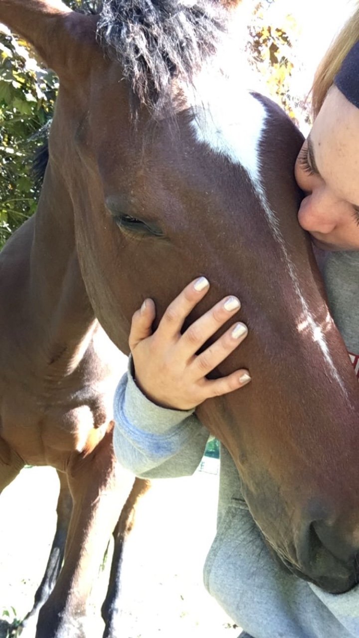 Why the Human-Horse Relationship Supports Trauma Healing