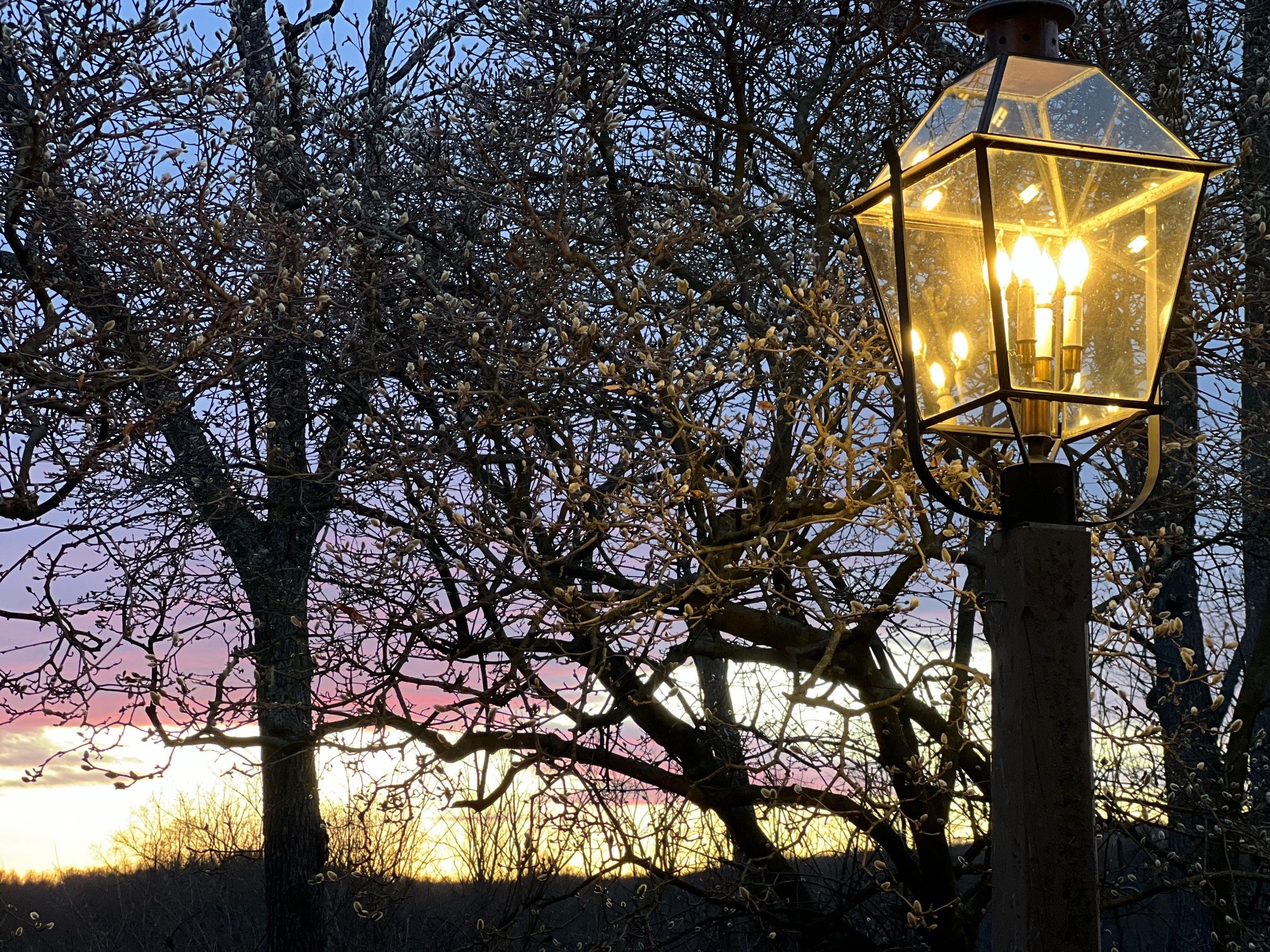 When Two Breaths Share the Same Sky: Grief, Despair, and the Strange Light of Healing