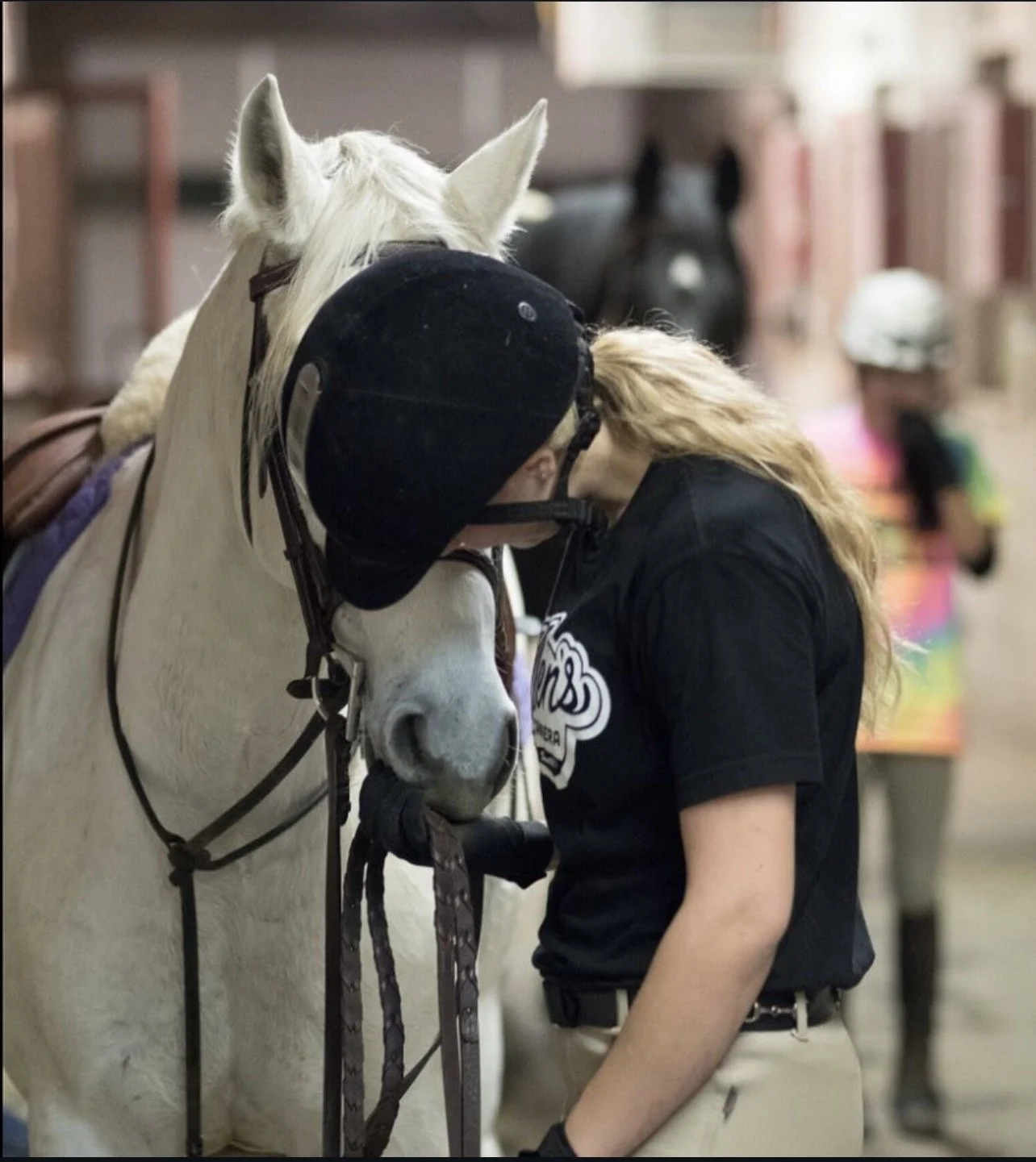 equine therapy trauma healing therapist in pennsylvania trauma healing with horses