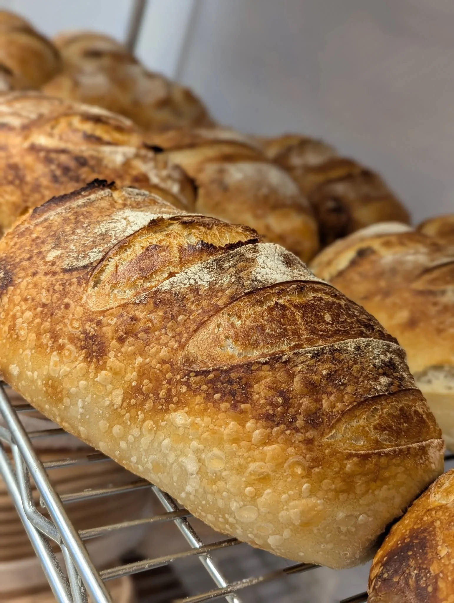 The Greatful Bread