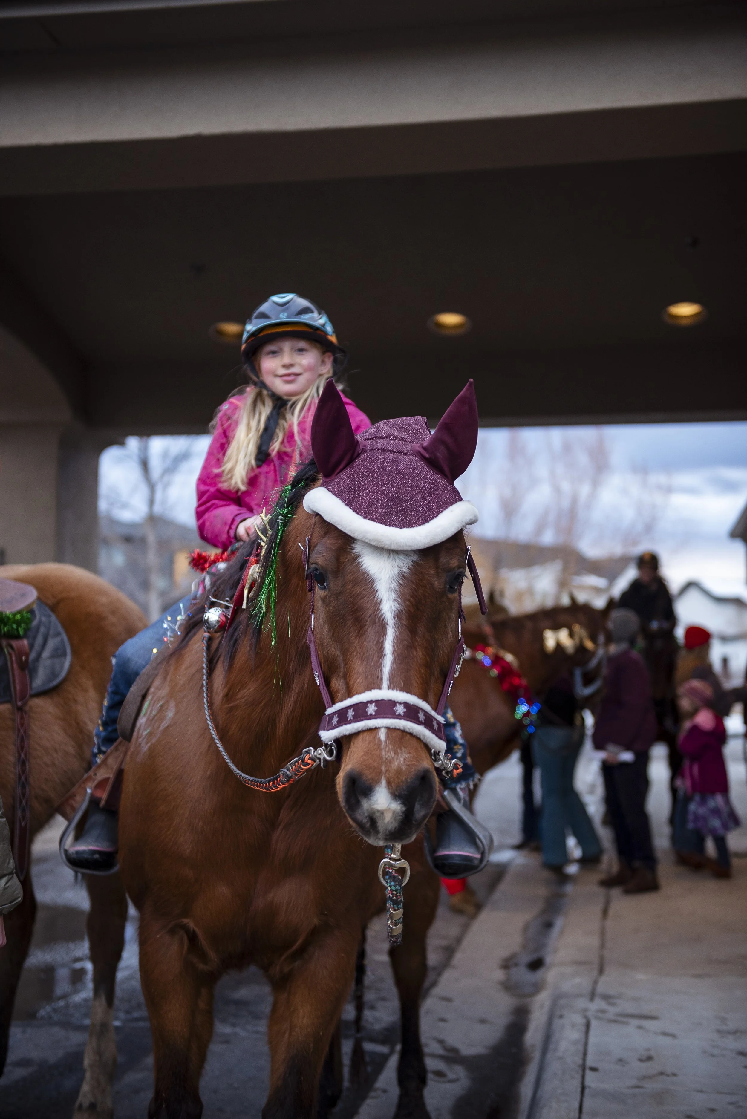 Clover Montana Horse