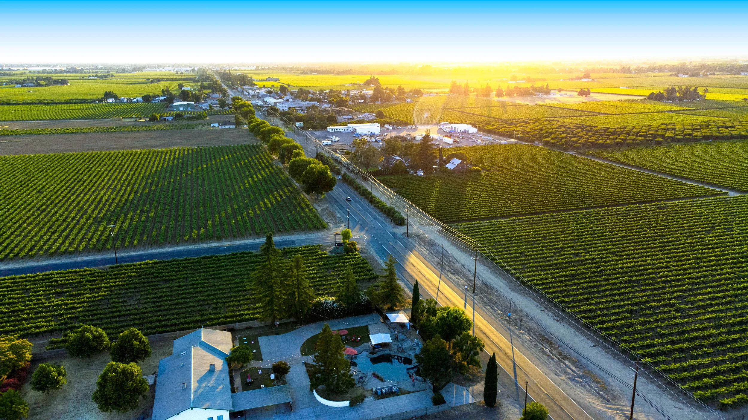 Professional real estate media by Volo Foto — photography, video, virtual tours, floor plans, and FAA Part 107 certified drone services in Sacramento, Elk Grove, Galt, and Lodi — drone arial landscape of Lodi vineyards.