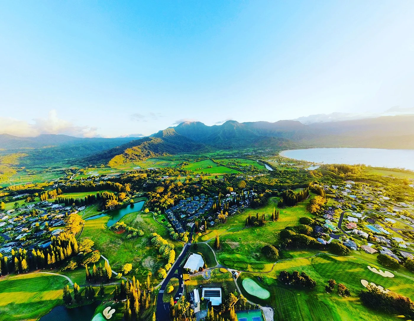 Professional real estate media by Volo Foto — photography, video, virtual tours, floor plans, and FAA Part 107 certified drone services in Sacramento, Elk Grove, Galt, and Lodi — beautiful drone panorama of lush Hawaii Forrest.