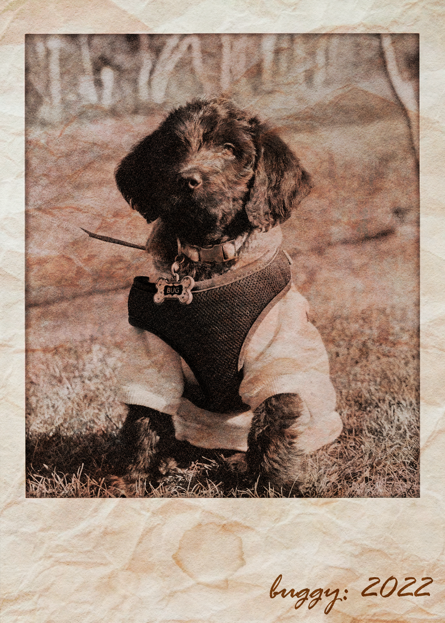 For this assignment, my professor challenged me to take a new photo and redesign it to make it look old.