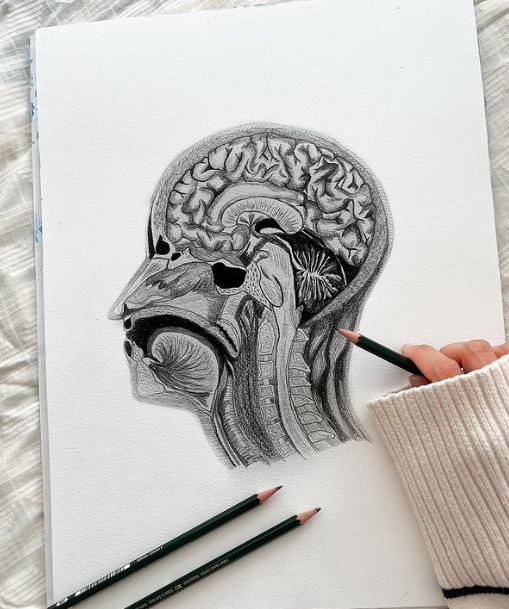 Capture d’écran 2024-01-11 à 20.16.52.png