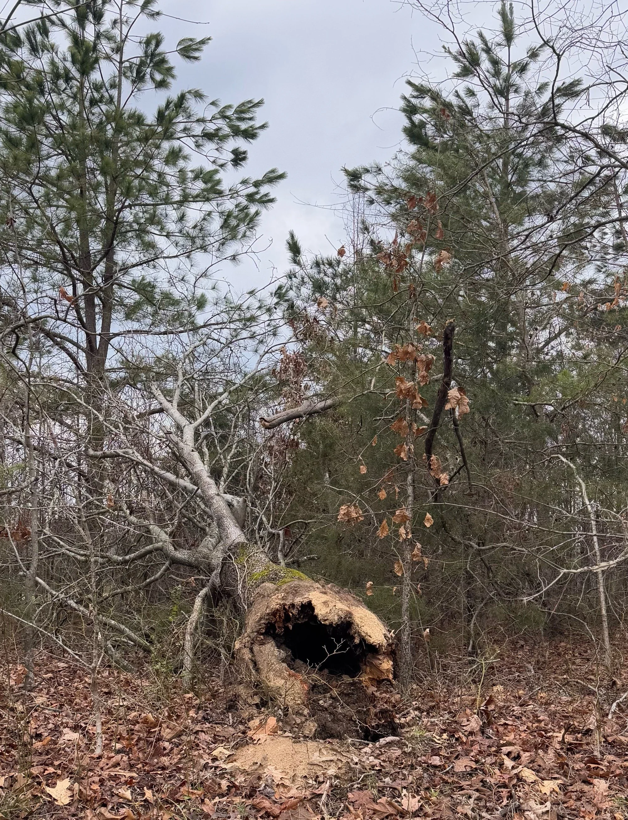 “…As is a man…”