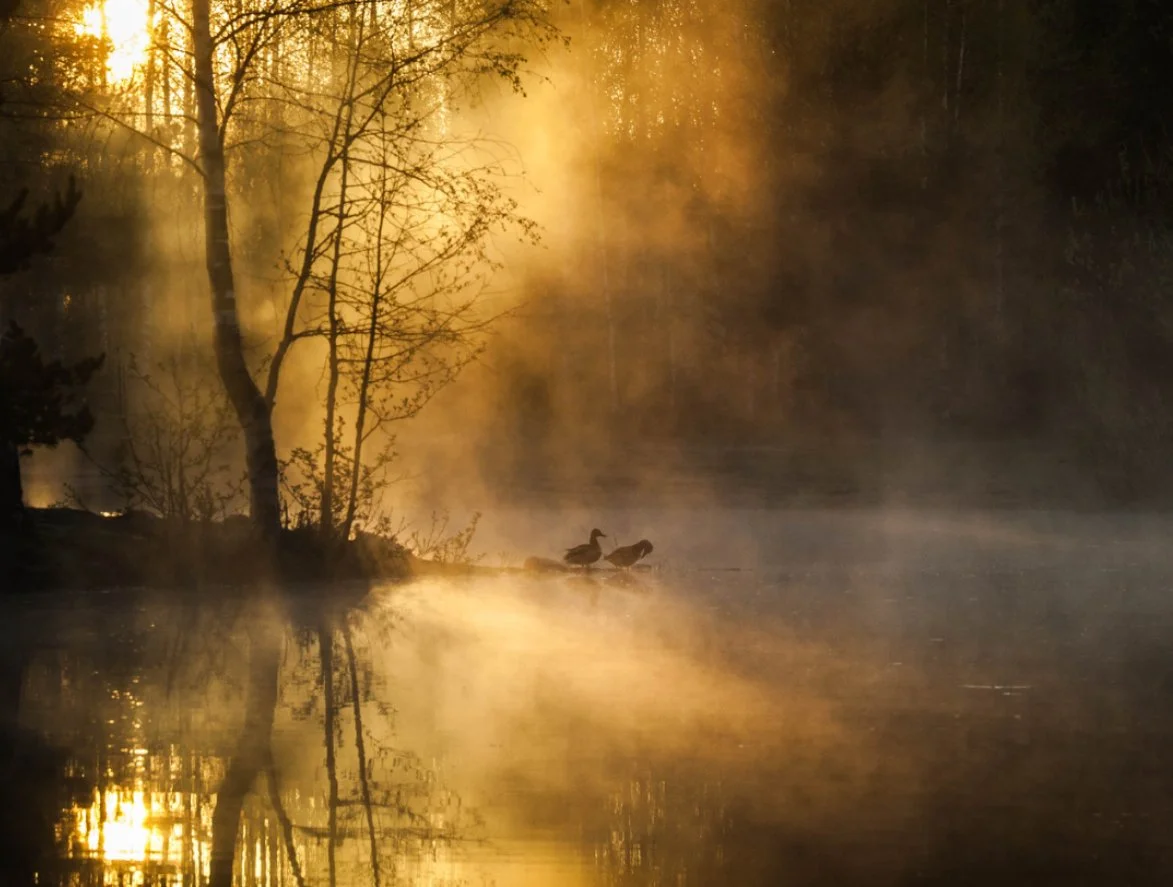 As a Fog Rises