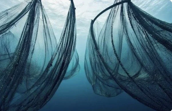 The Voice Of Empty Nets