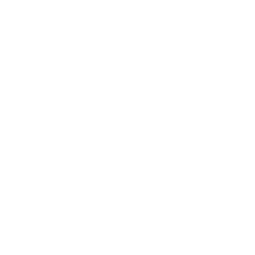 Rachel Druckenmiller TEDx speaker