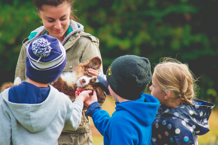 Screen Shot 2017-09-12 at 5.37.00 PM.png