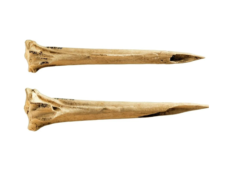 Cours 1 : Histoire du tatouage