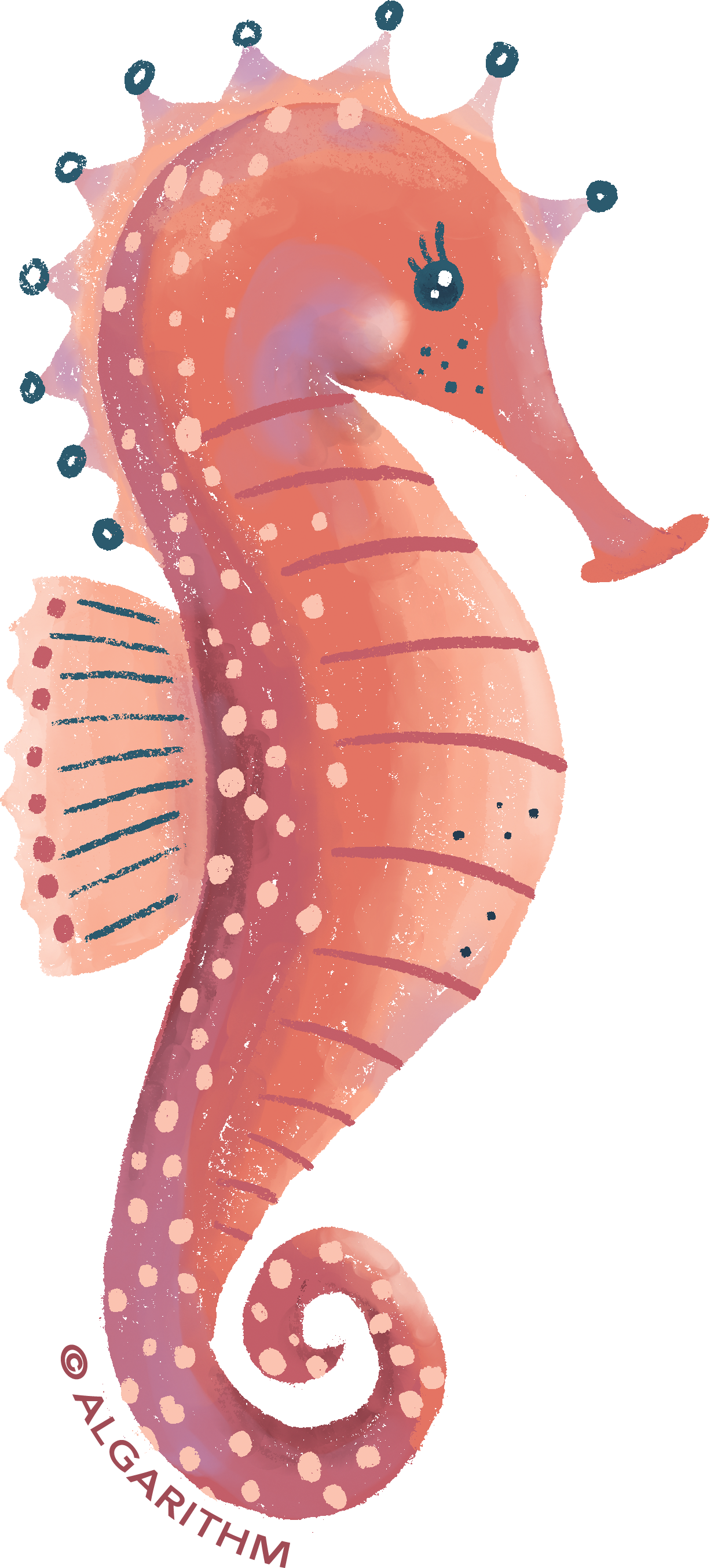 23ALGA-SEAHORSE RED.png