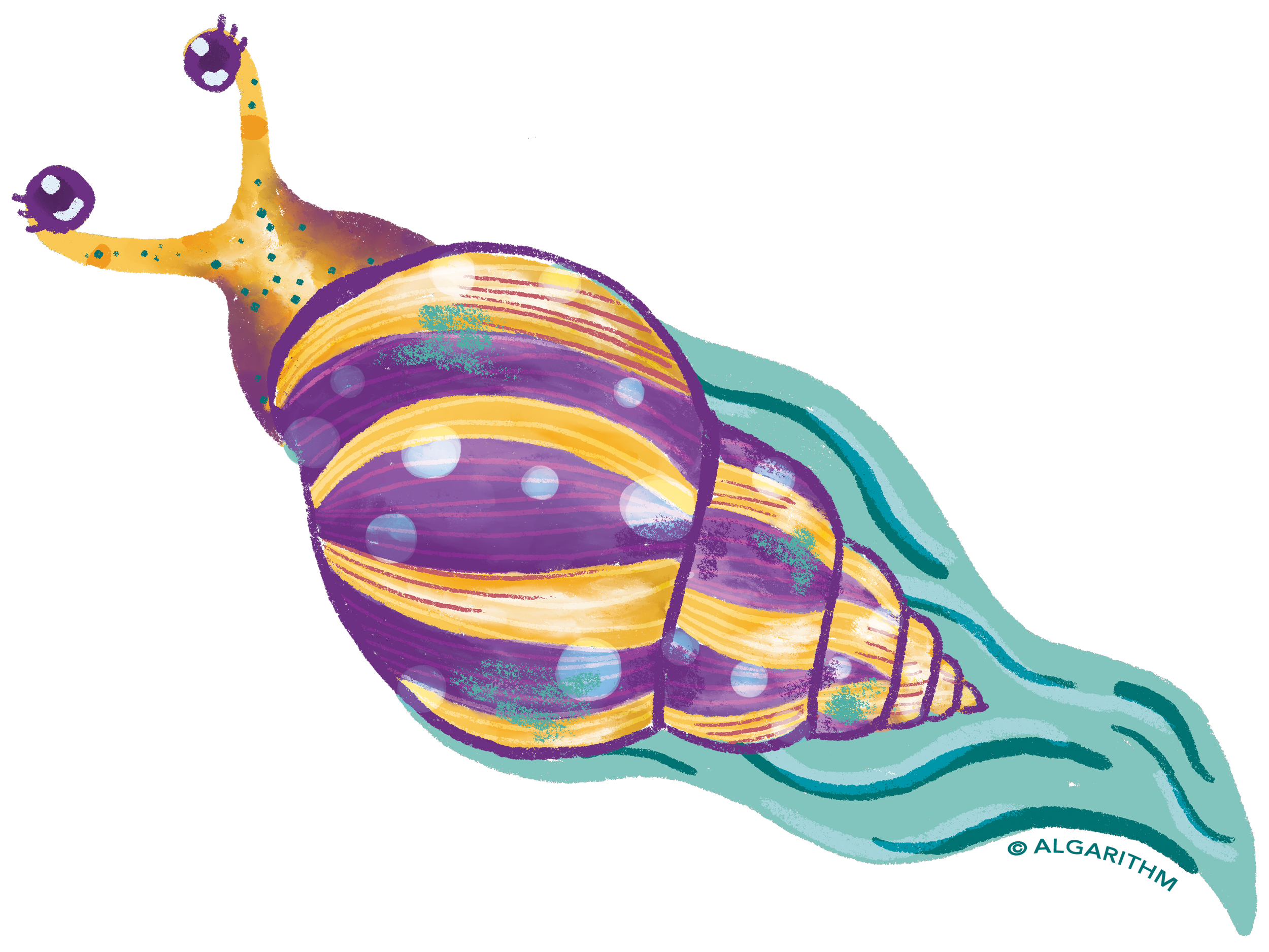 23ALGA-SNAIL.png