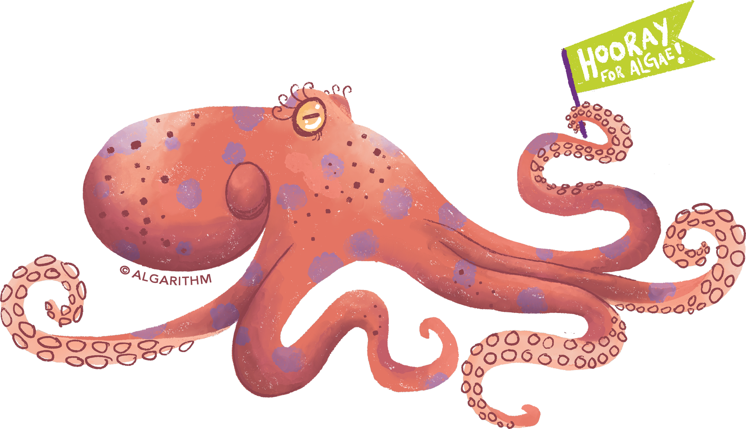 23ALGA-OCTOPUS.png