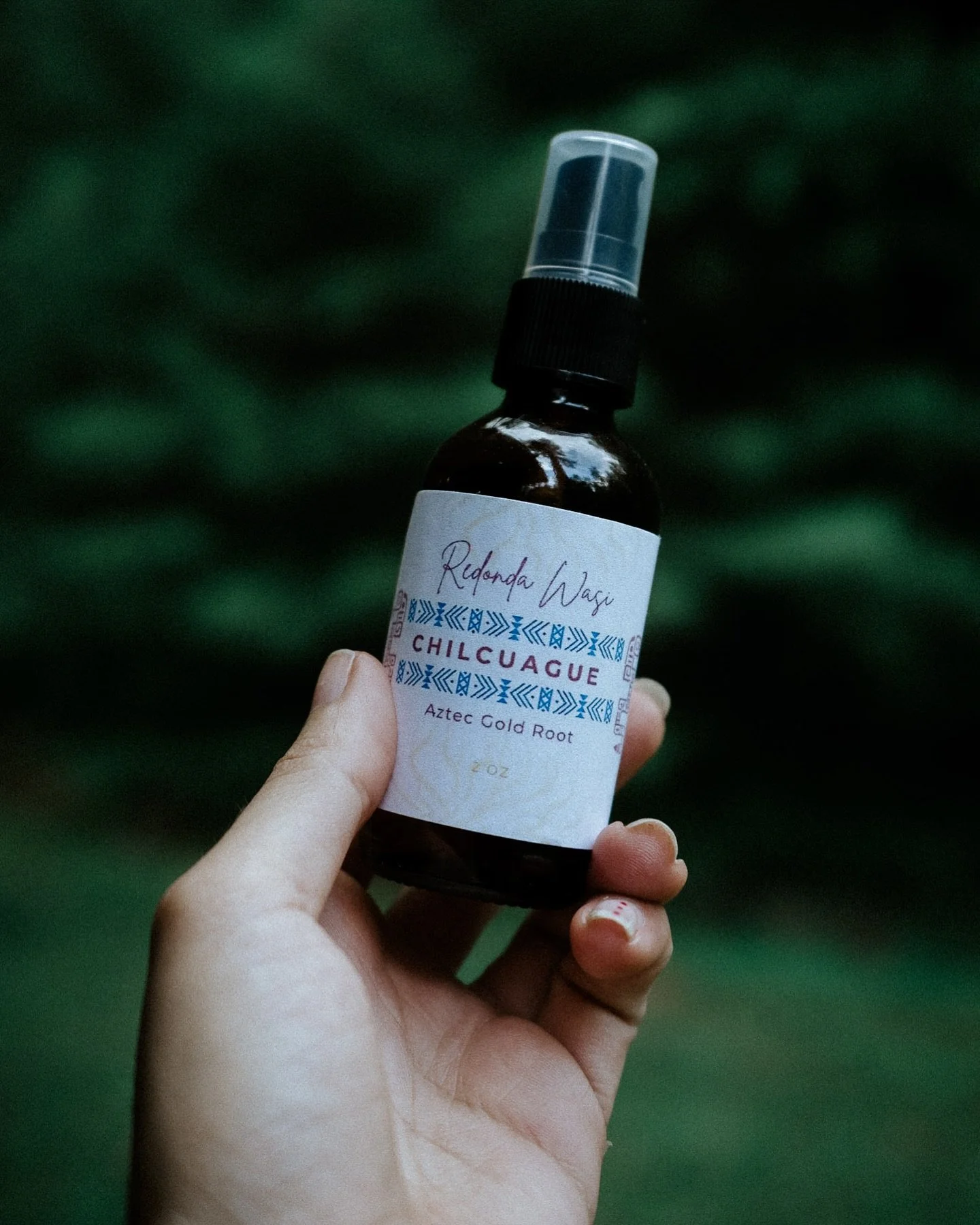 What is Chilcuague?

Chilcuague - known as the golden Aztec root - (scientific name Heliopsis Longipes) - is a root native to Mexico and known for its healing benefits since pre-Hispanic times.  The tincture is made with the roots macerated for sever