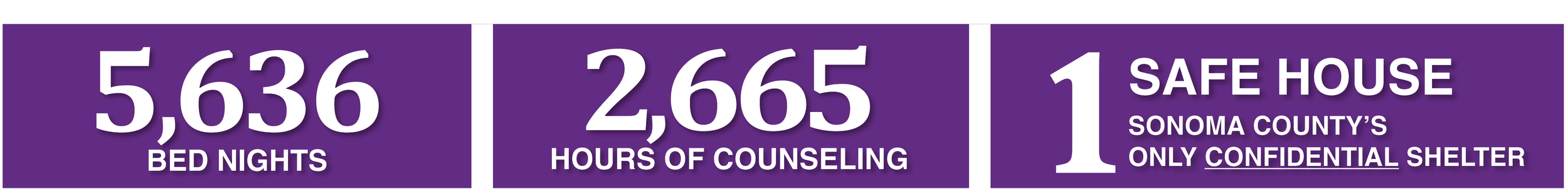 domestic violence stats; 5636 bed nights; 2665 hours of counseling; 1 confidential safe house shelter