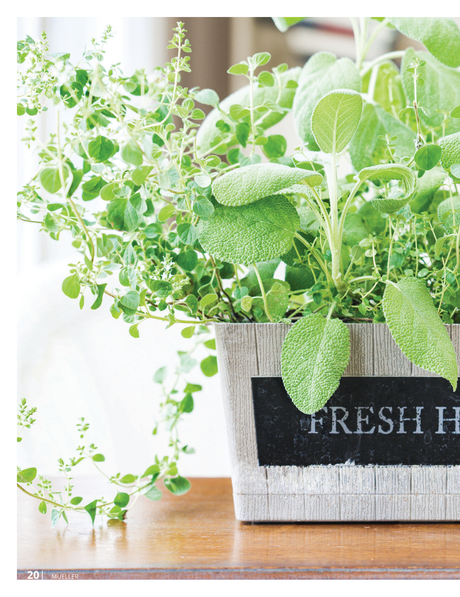 Mueller_January2024_Issuu.pdf - 1.png