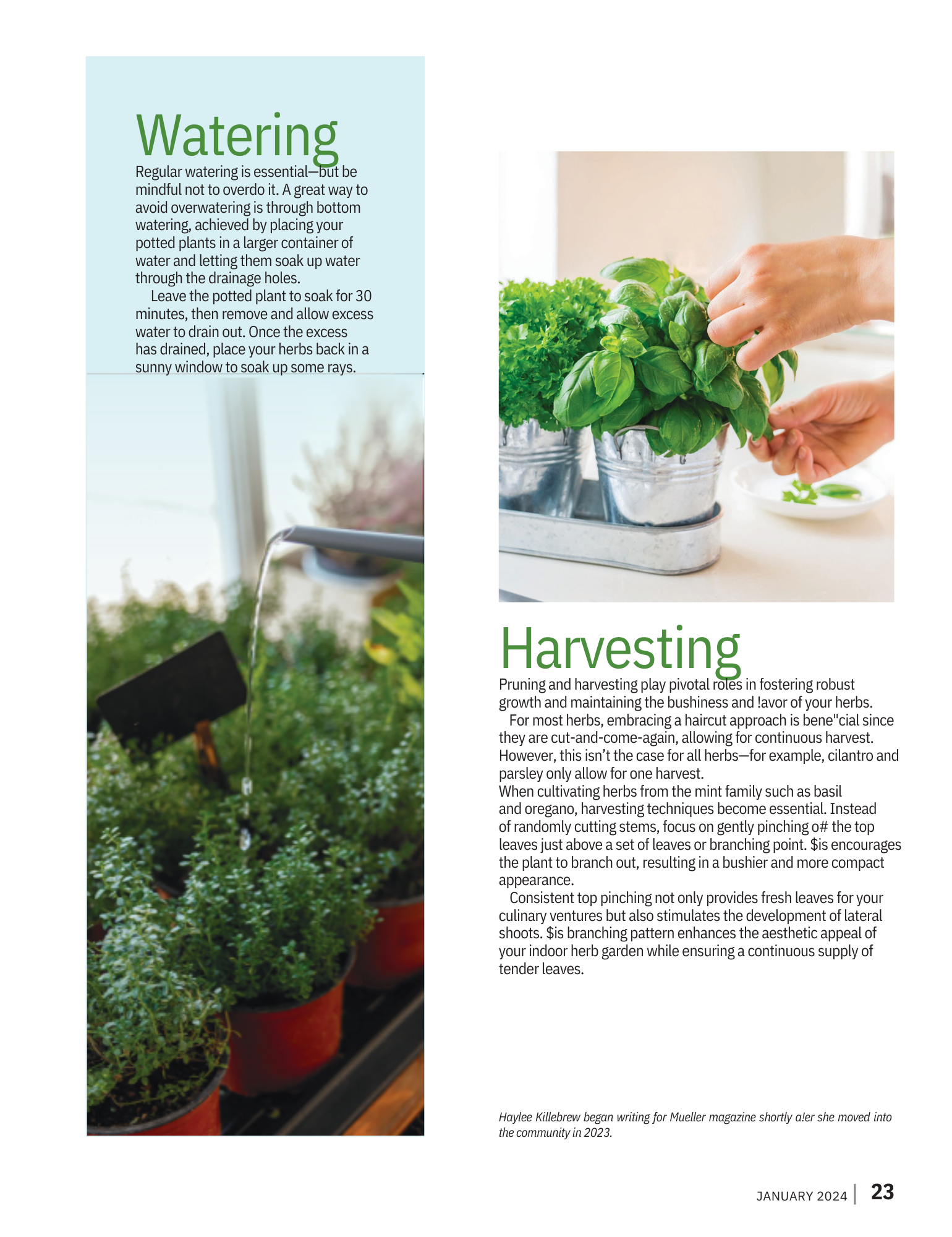 Mueller_January2024_Issuu.pdf - 3.png