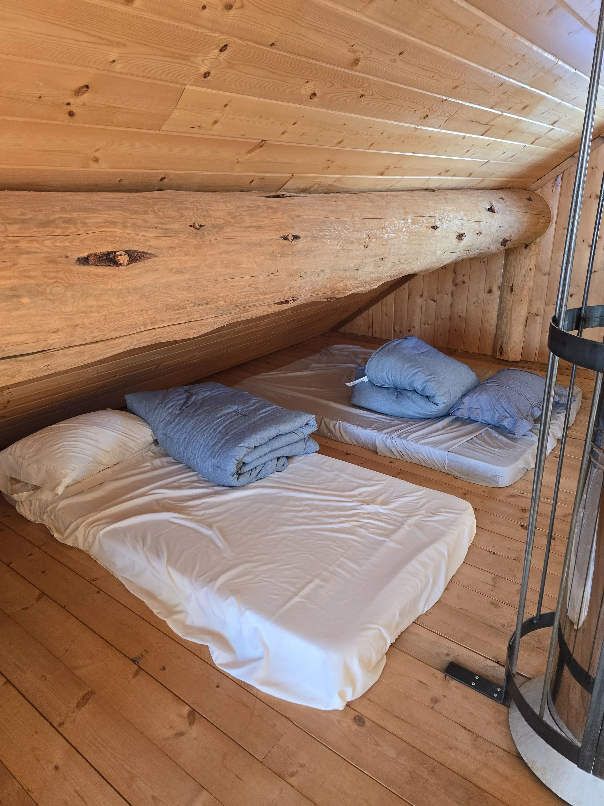 20241227_134943.jpg