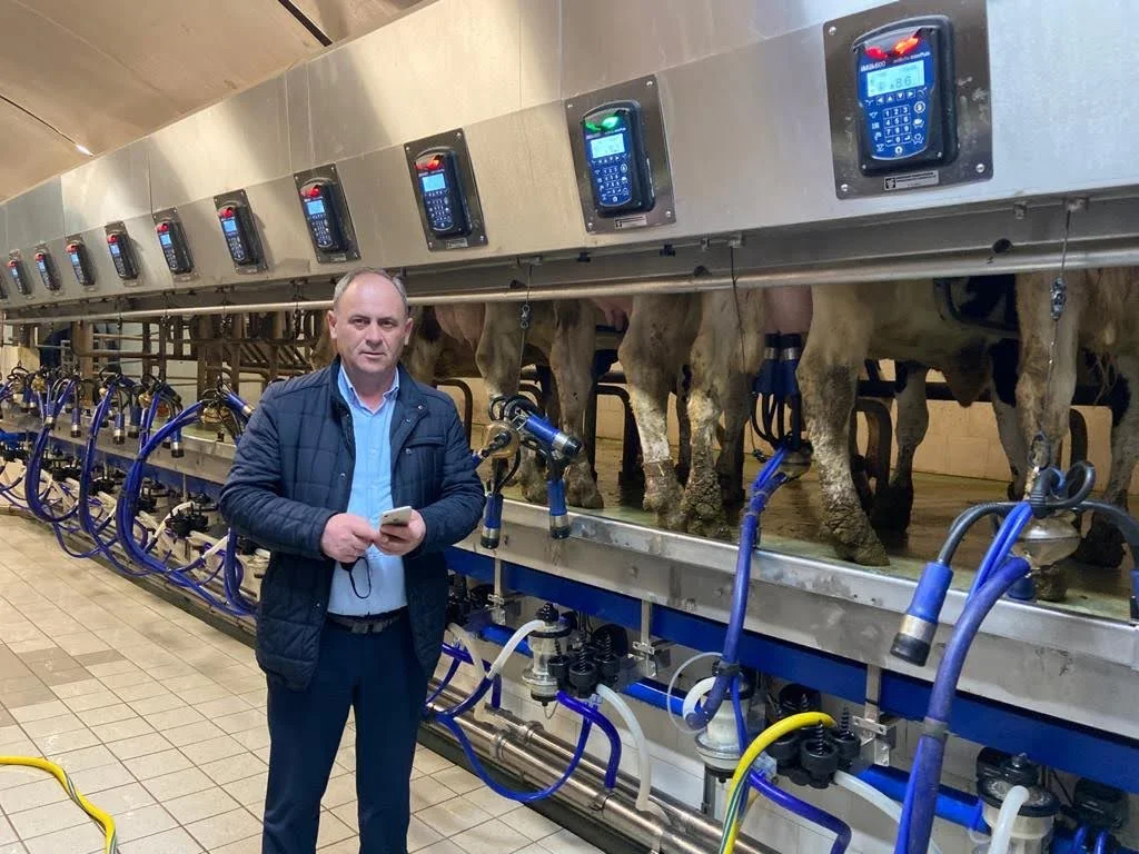 afi-banat parteneri interpuls