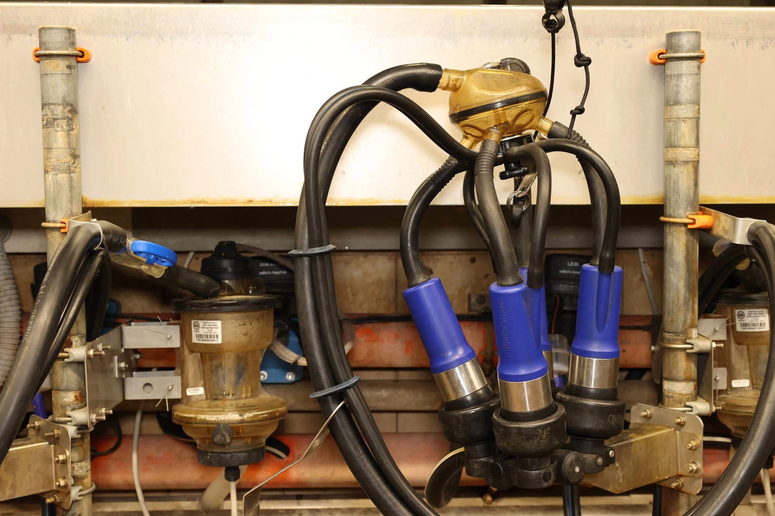 Az. Agricola Lombardi - Cluster+Milkmeter MMV.jpg