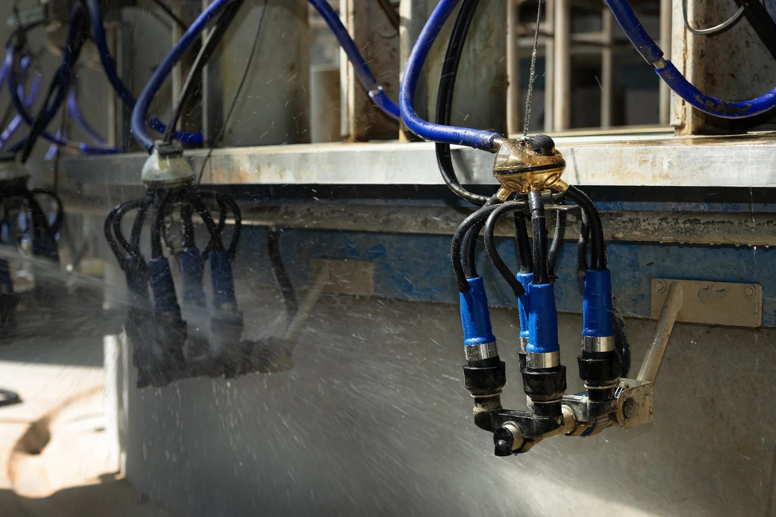 XT Liners Parma - Cluster_2.jpg