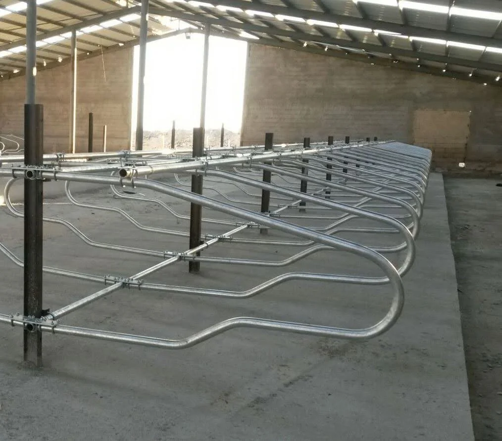 cusete de dormit pentru vaci poze