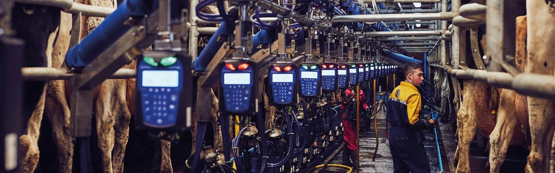 milkrite interpuls afi-banat parteneri