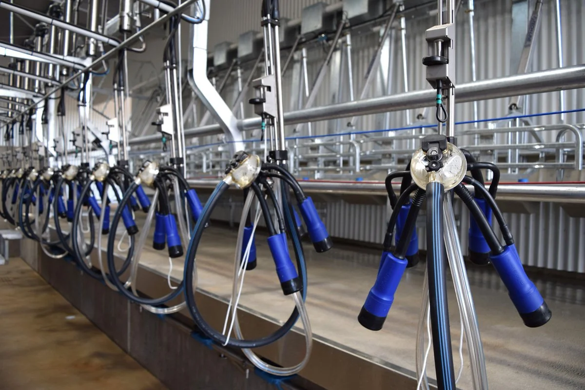 Parlour Photo - Herringbone Australia 2017.jpg