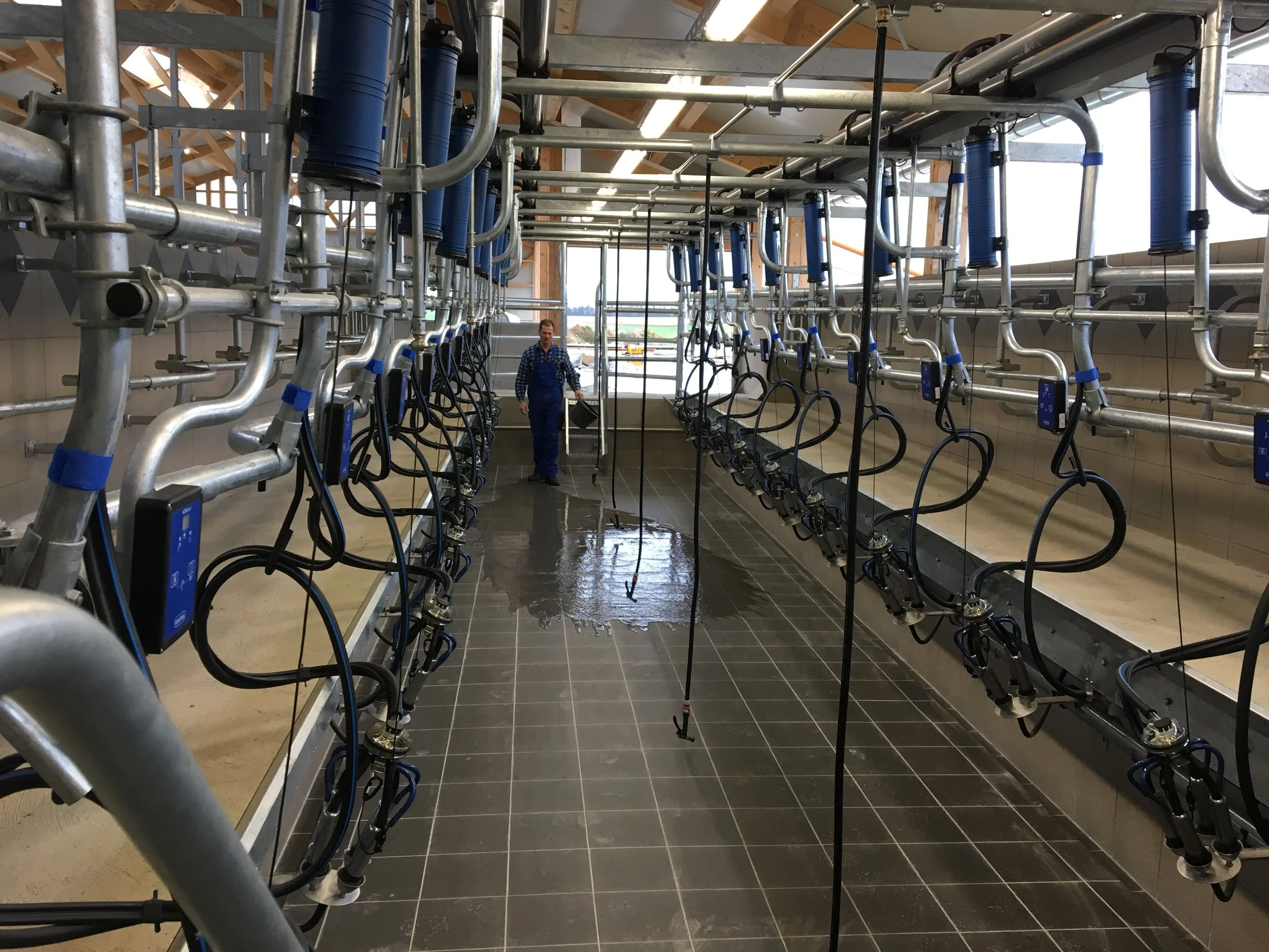 Parlour Photo - Herringbone ACRsmart - Germany.jpg