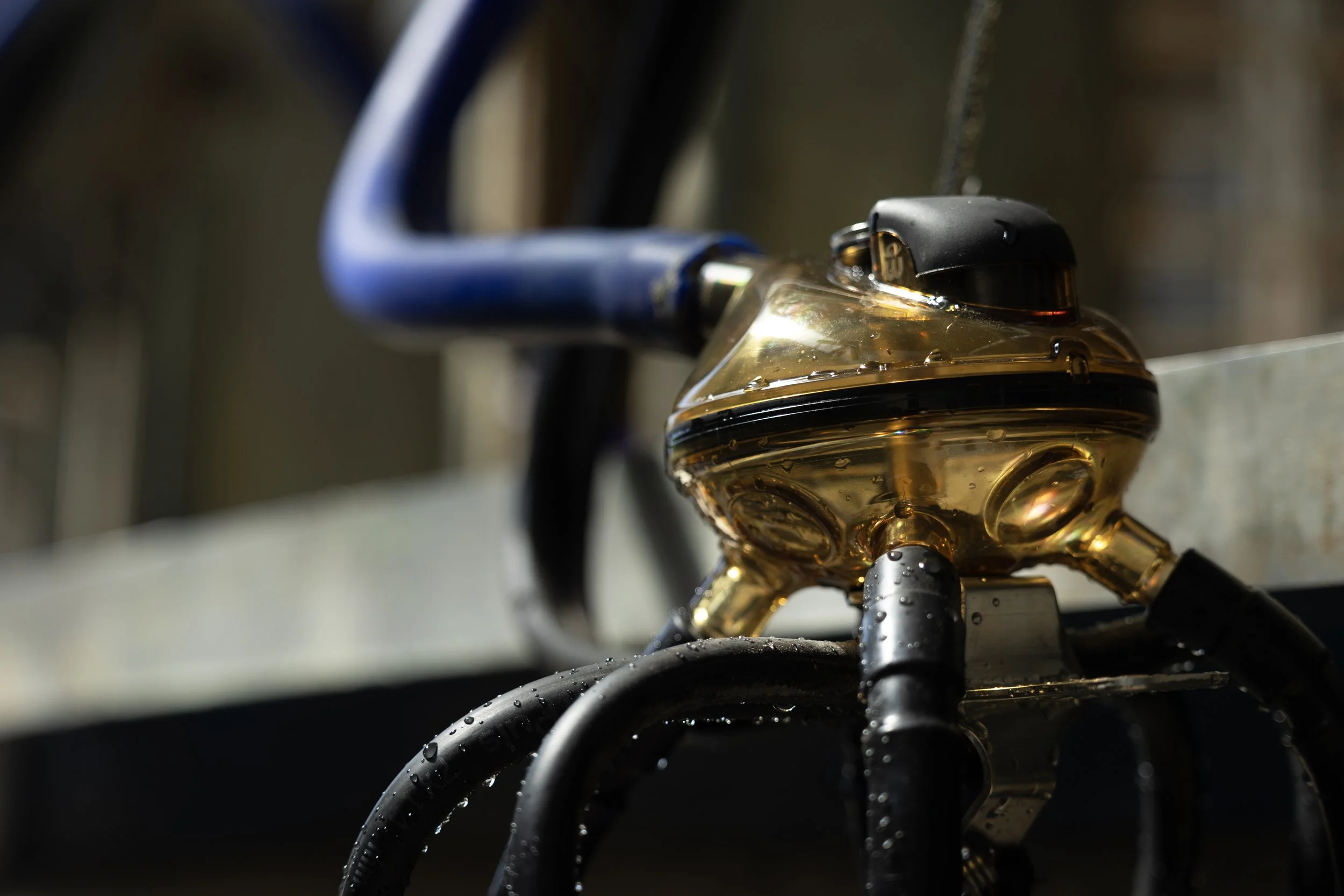 montari sali de muls moldova