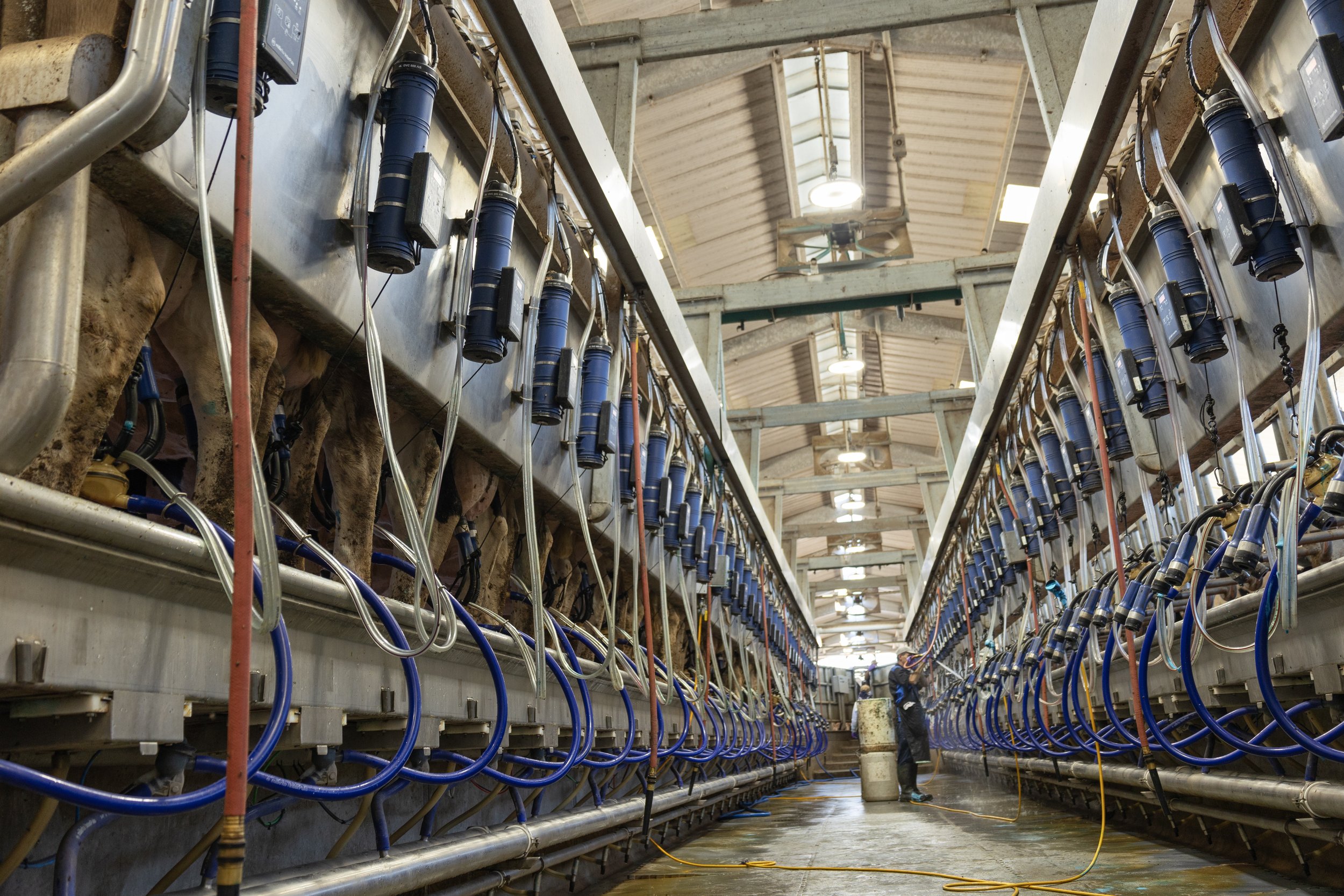 2H9A6541 - US_River Valley Farm - Full parlour3.jpg