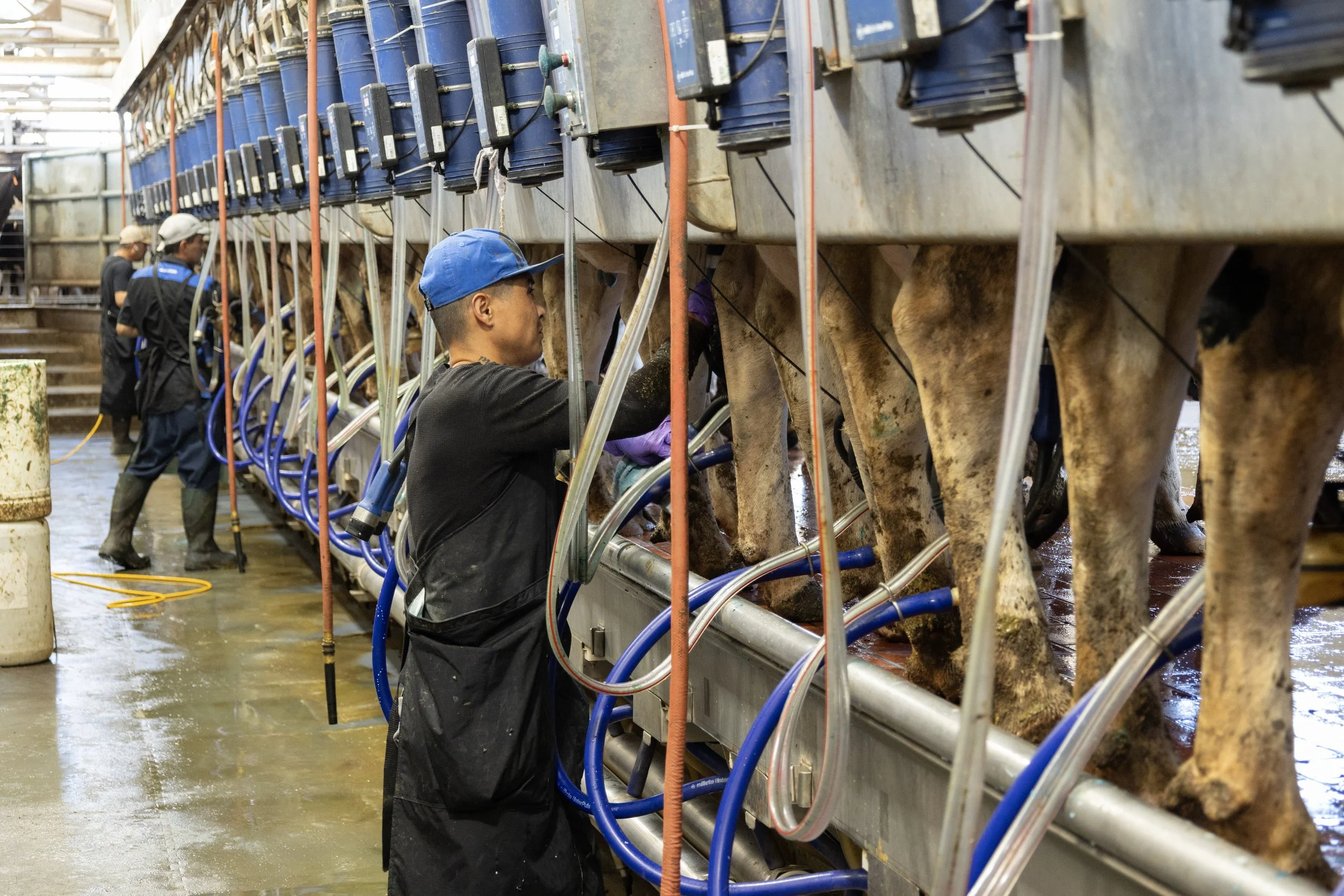 2H9A6482 - US_River Valley Farm - Milker.jpg