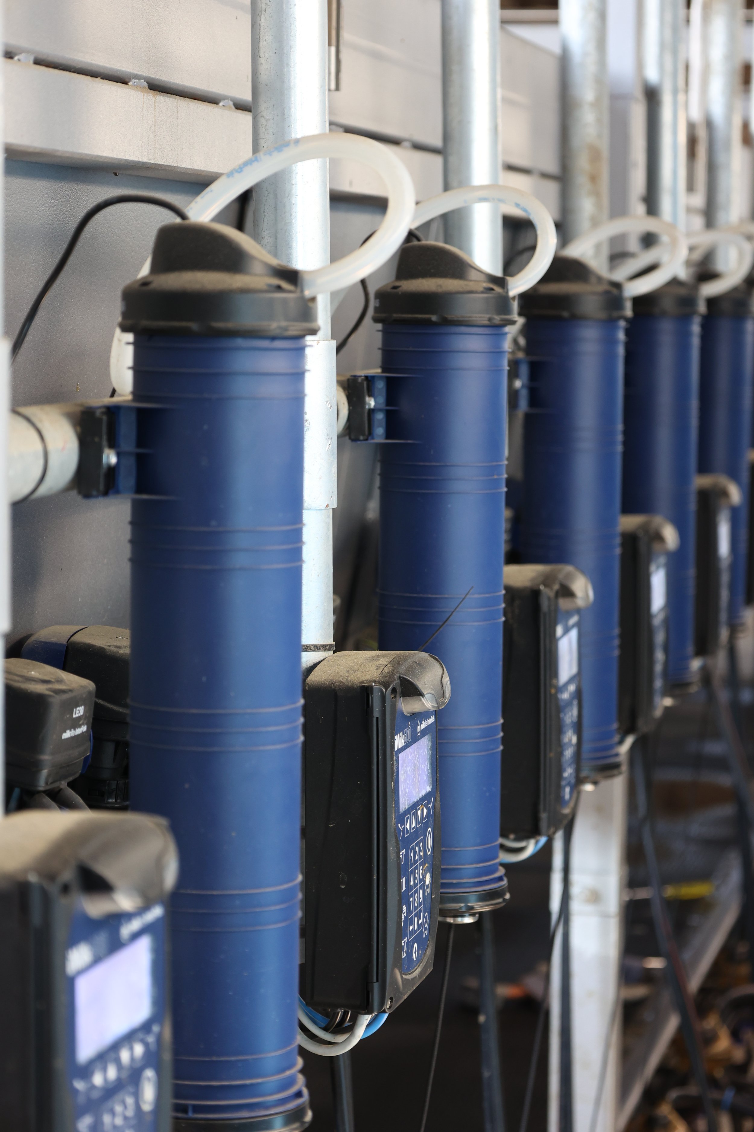 iMilk600 Complete Parlour - Parma 02_2023 (7).jpg