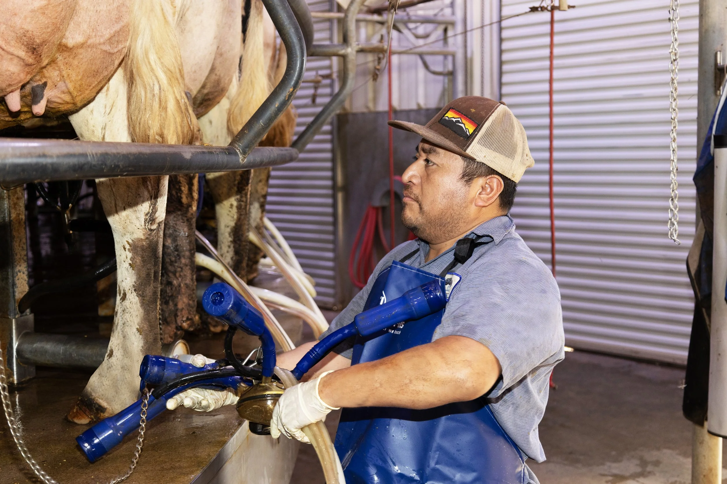 2H9A6946 - US_Double-D Farm - Milkers9 Edit.jpeg