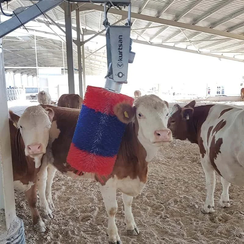 Automatic-cow-brush.jpg