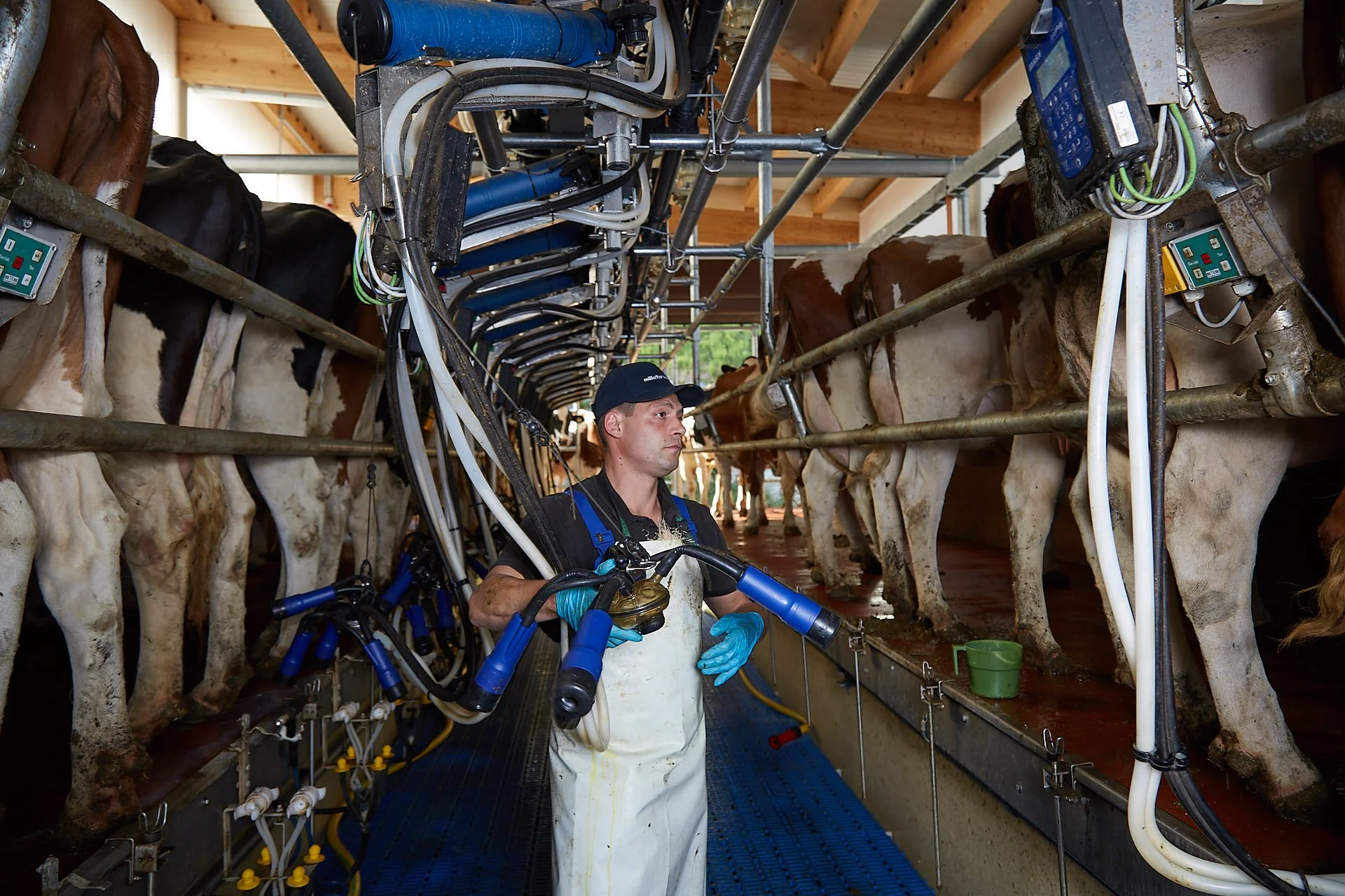 Swingover iMilk600 Farm Köchler Innsbruck.jpg