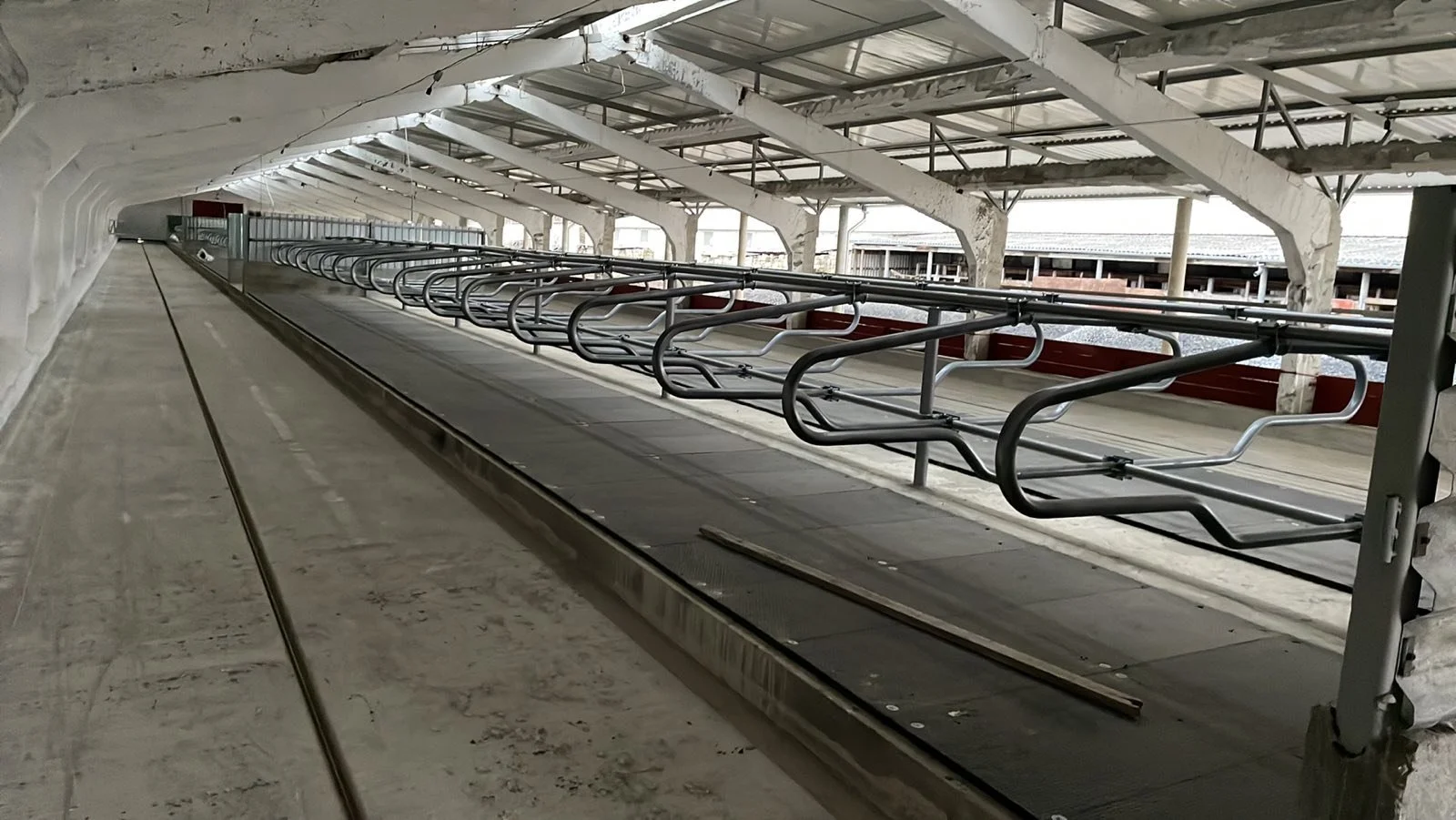 poza grajd echipat cu cusete si sistem de evacuare dejectii