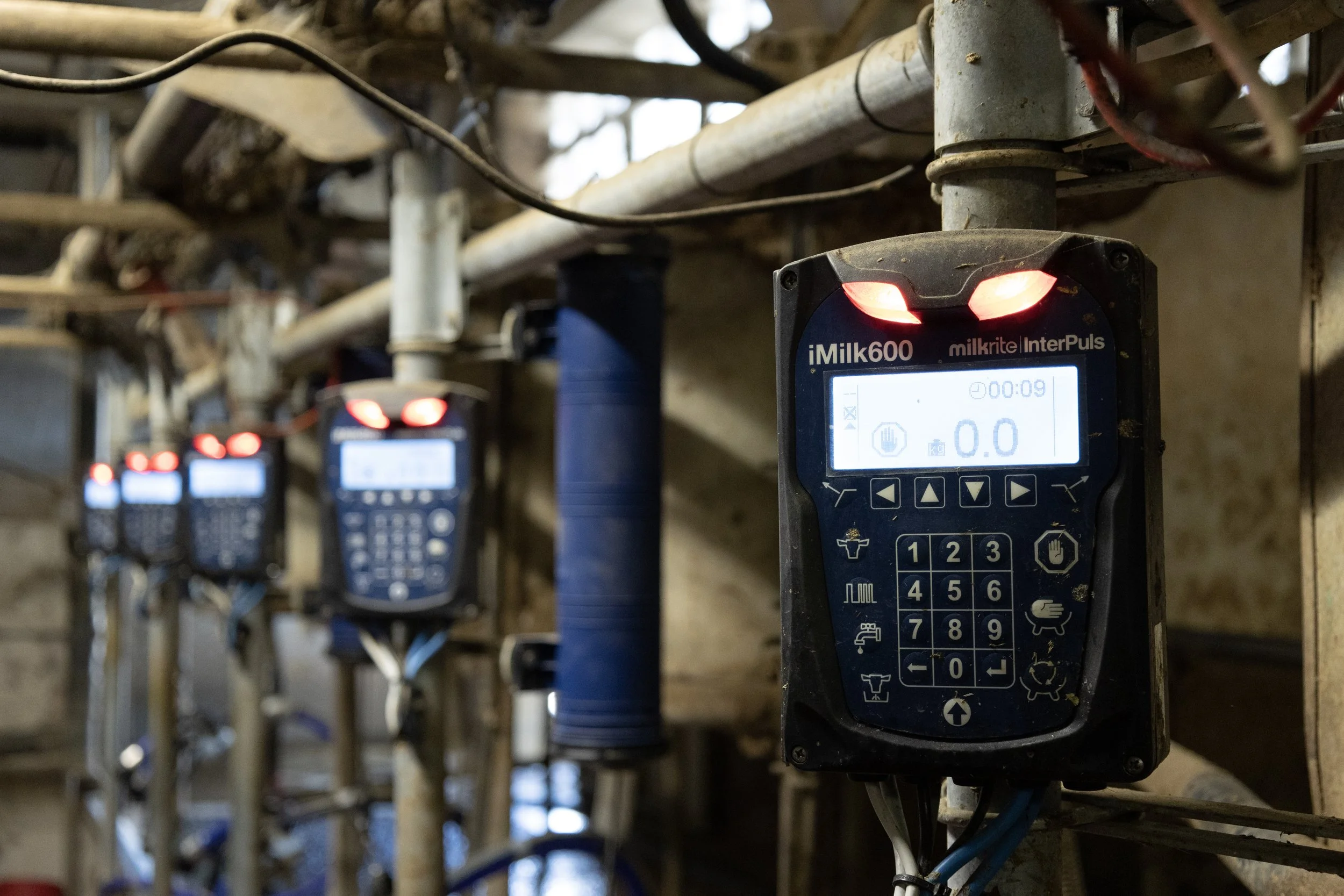 On Farm Support Parma 04_2023 (11).jpg