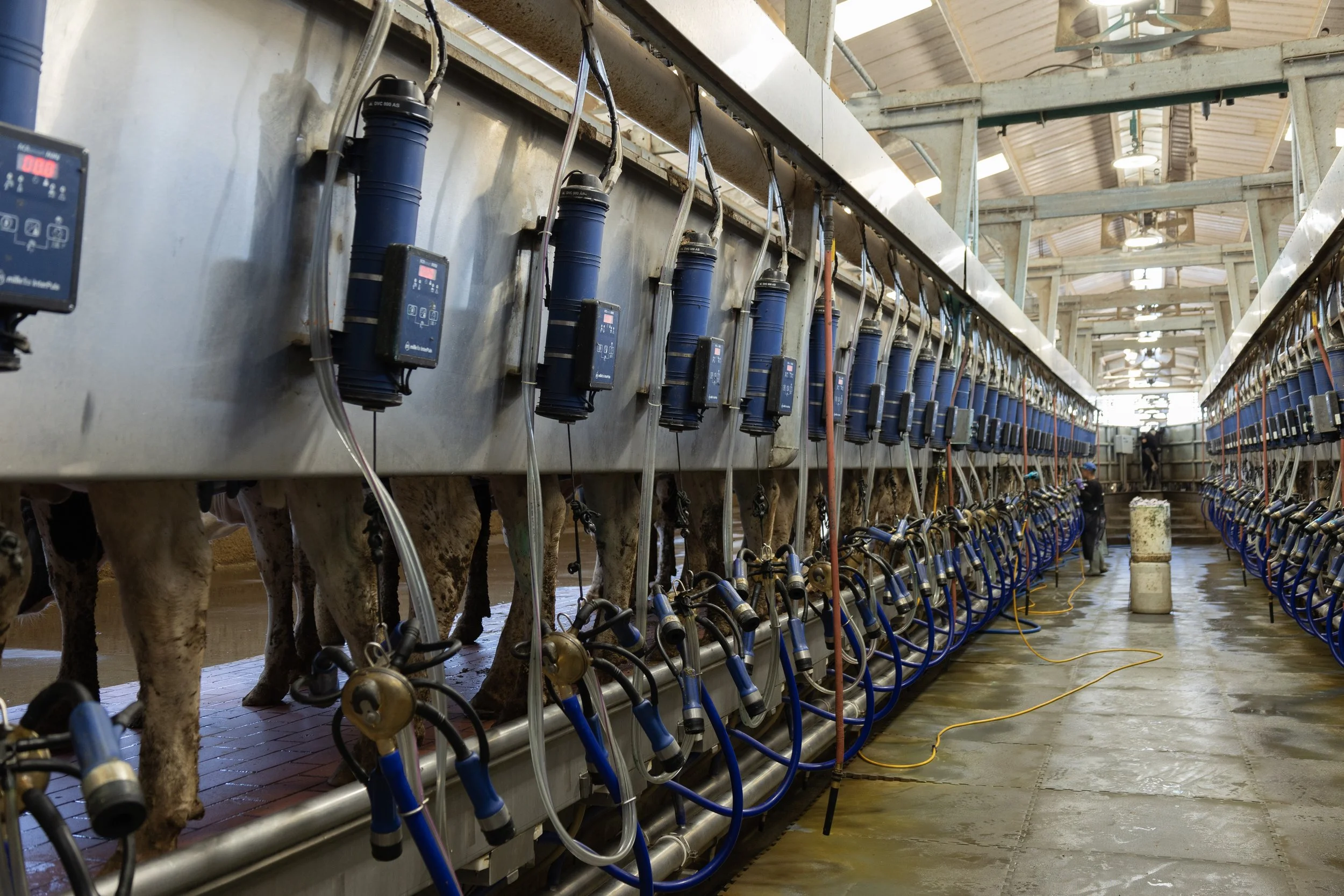 2H9A6377 - US_River Valley Farm - Full parlour2.jpg