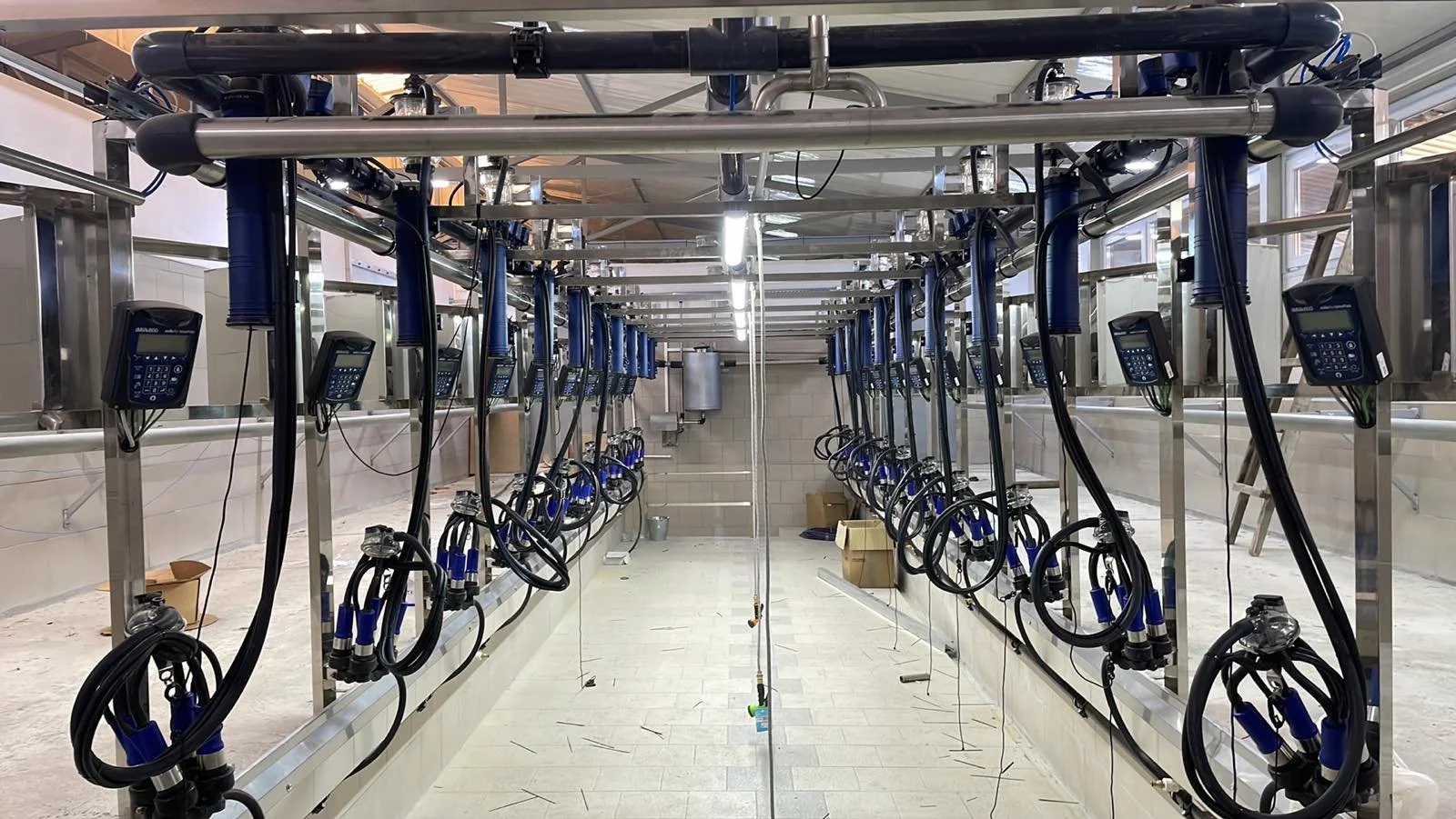 sala de muls afi-banat