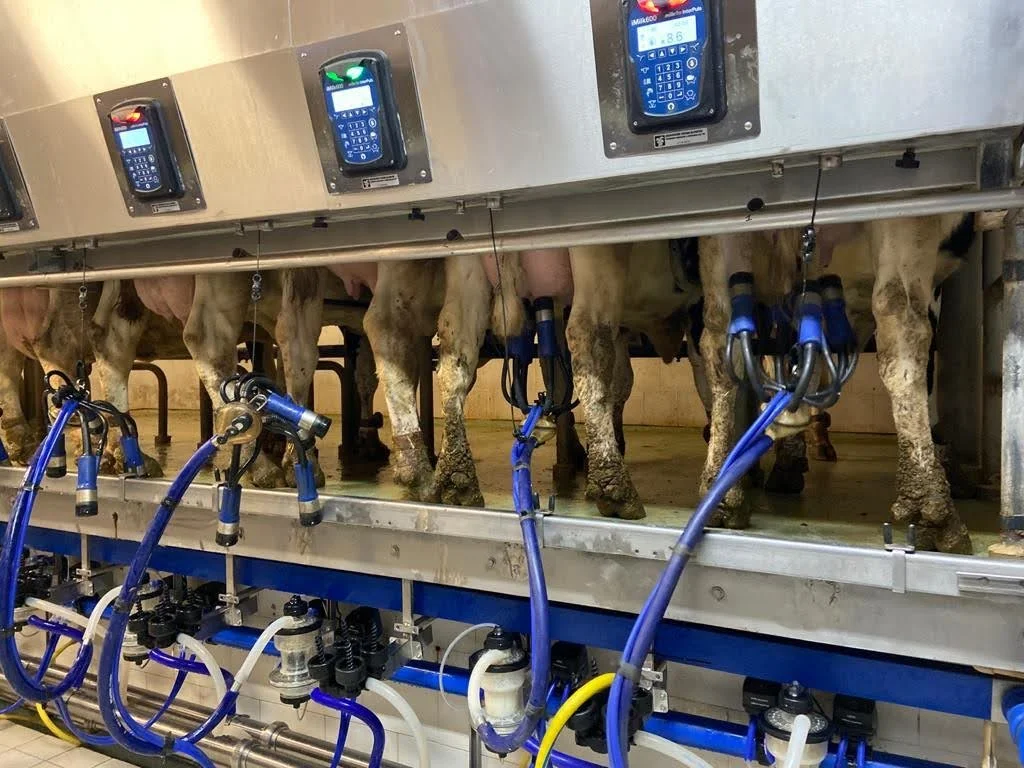 poza cu sala de muls moderna