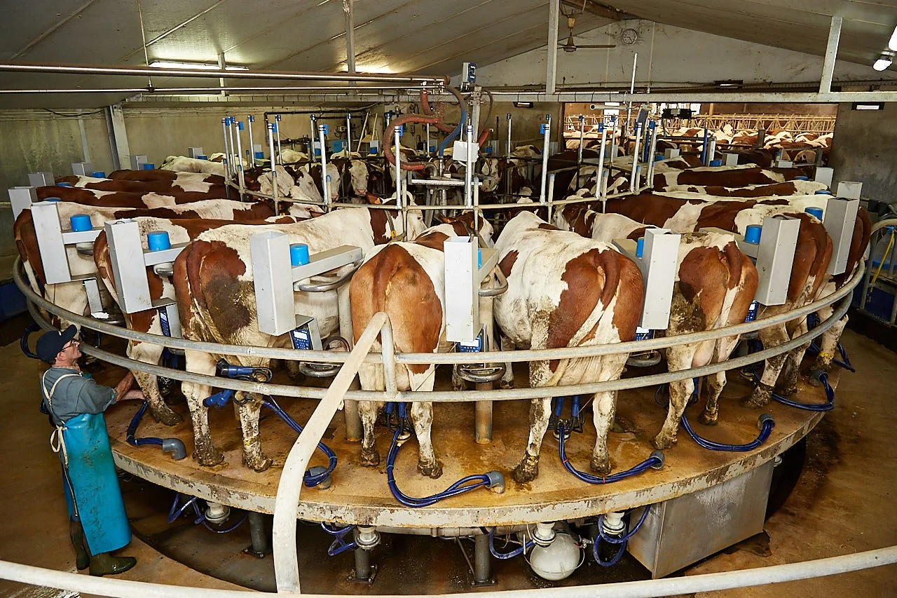 Rotary iMilk600 - Reignier FR.jpg