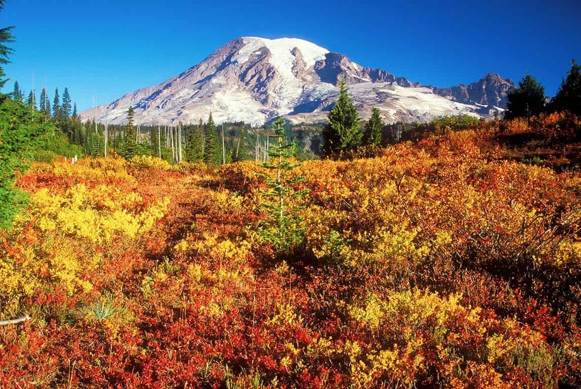 Visit Tacoma-Pierce County