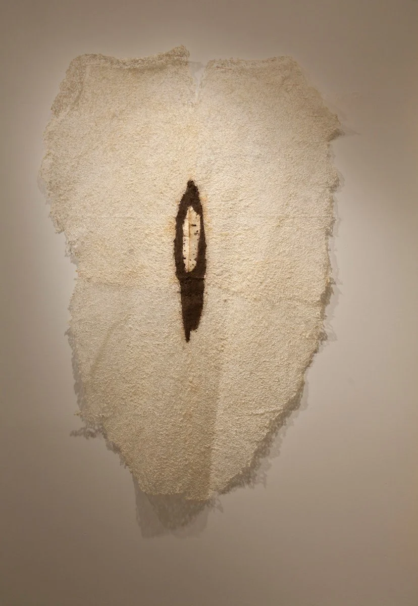 Neha Vedpathak Strength of Silence 2012 68x37.jpg