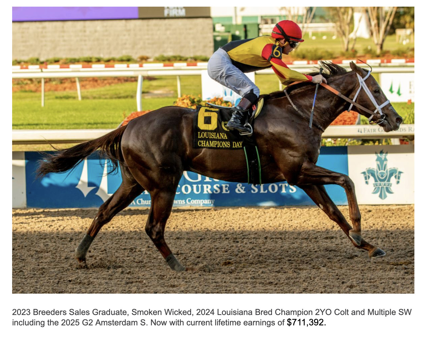 A racehorse being ridden by a jockey during a race at Louisiana Champions Day, with a sign on the horse displaying the number 6 and the text "Louisiana Champions Day." The background shows a racetrack with colorful advertising banners and green grass.