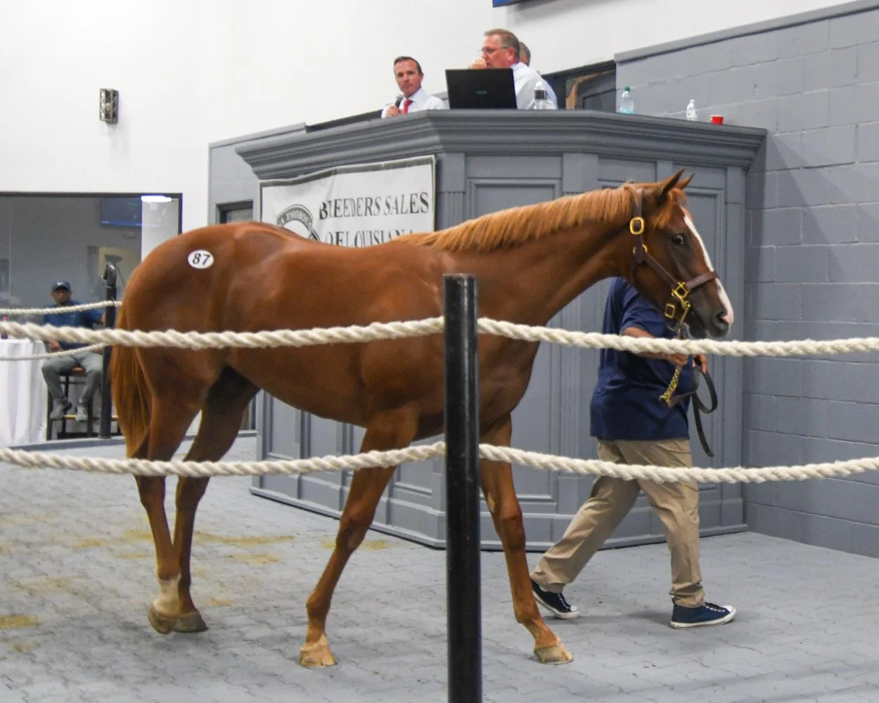 2026 Preferred Yearling Sale Nearly Triples 2025 Gross as Breeders Sales of Louisiana Debuts New Format
Record buyer interest fuels $2,580,200 yearling session in Opelousas, topped by a $140,000 filly from the Clear Creek Stud consignment.