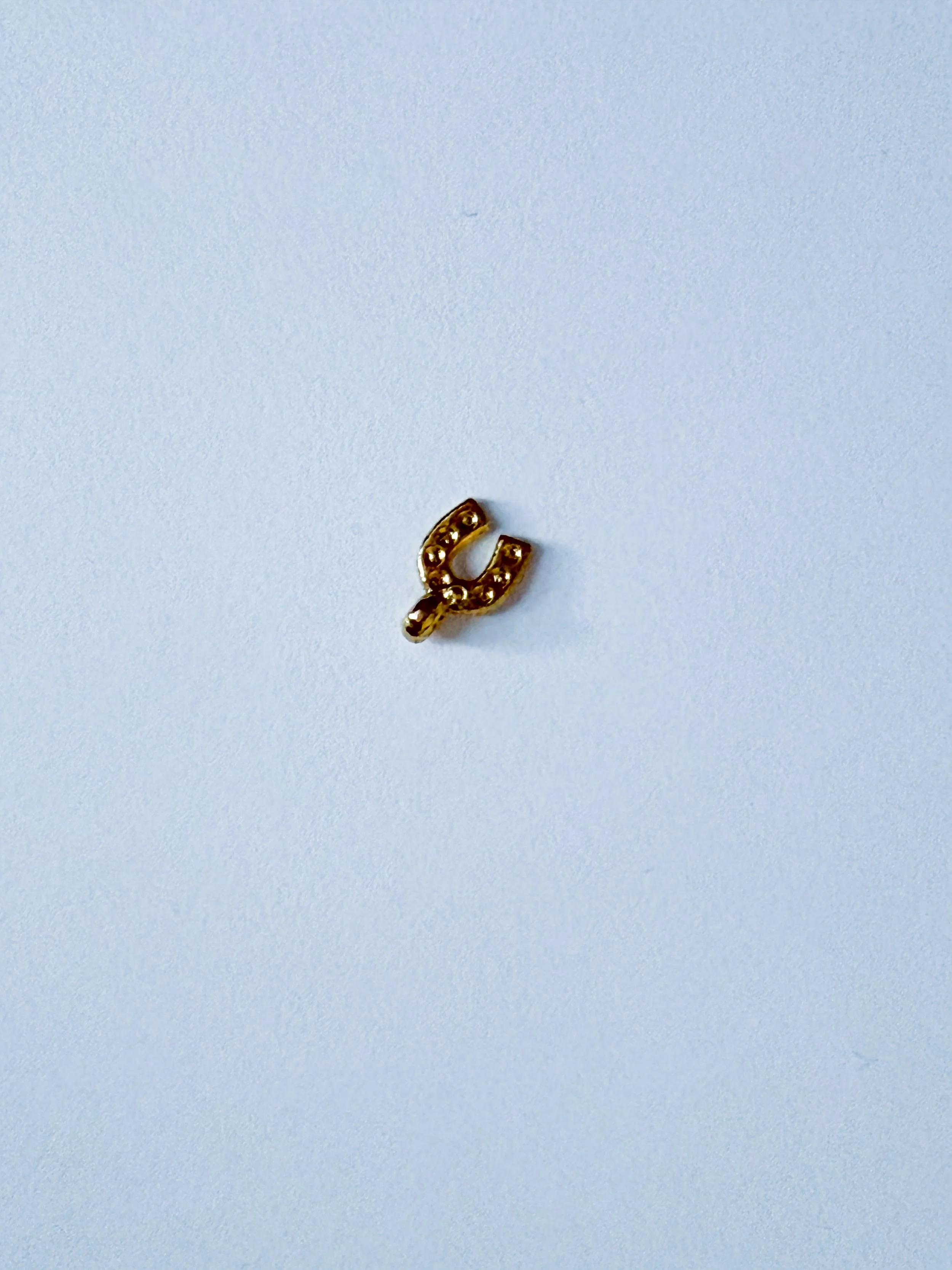 Mini Gold Horseshoe Charm