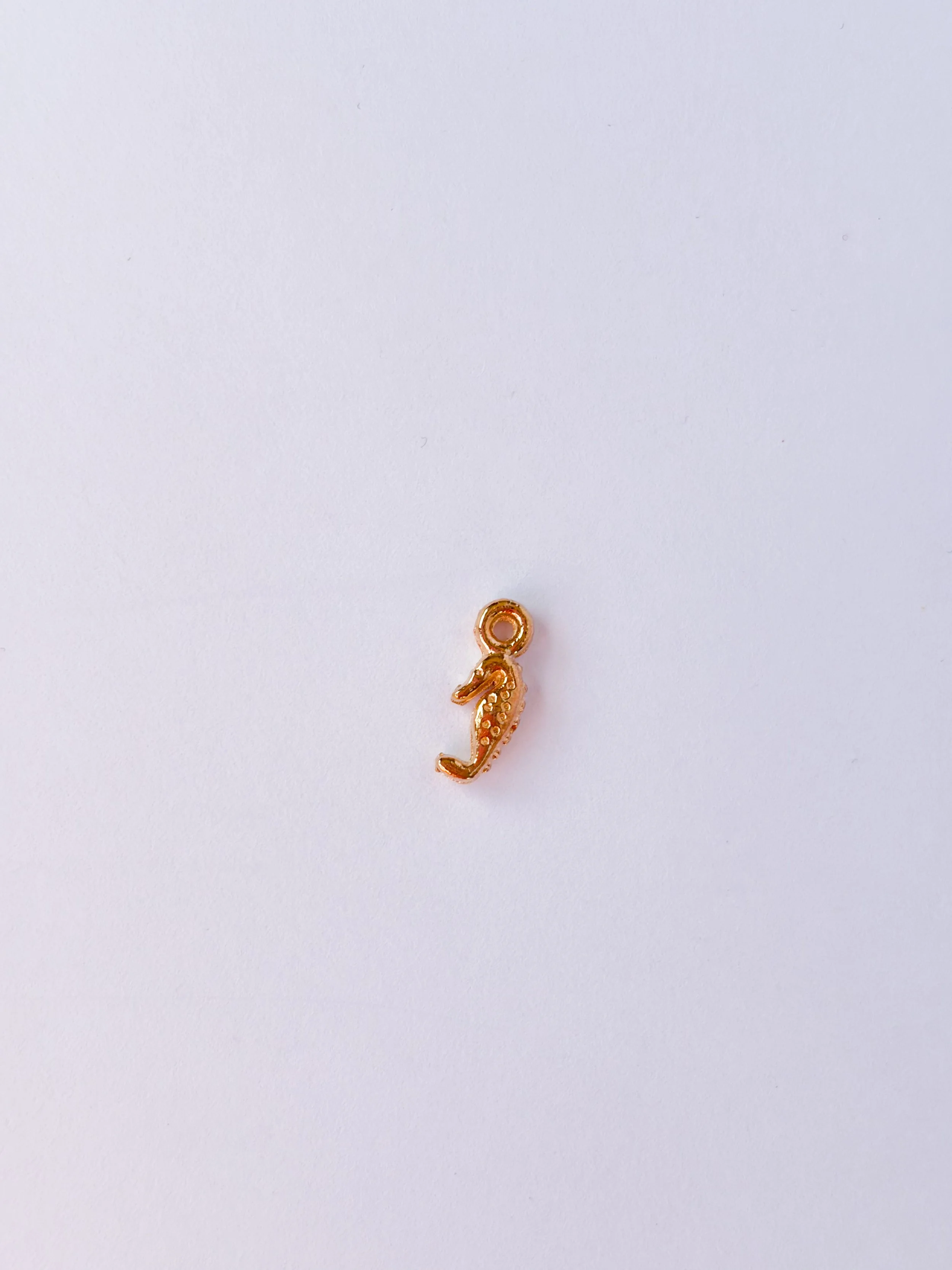 Tiny Seahorse Charm
